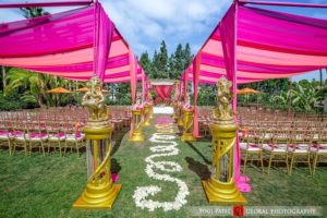 Another view of the mndap