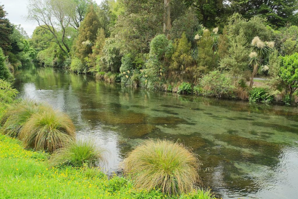 Avon River in Christchurch Botanic Gardens