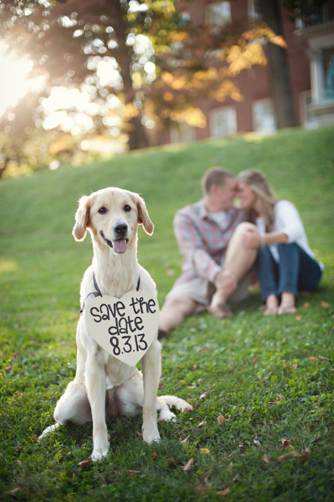 Involve your pet in pre-wedding shots