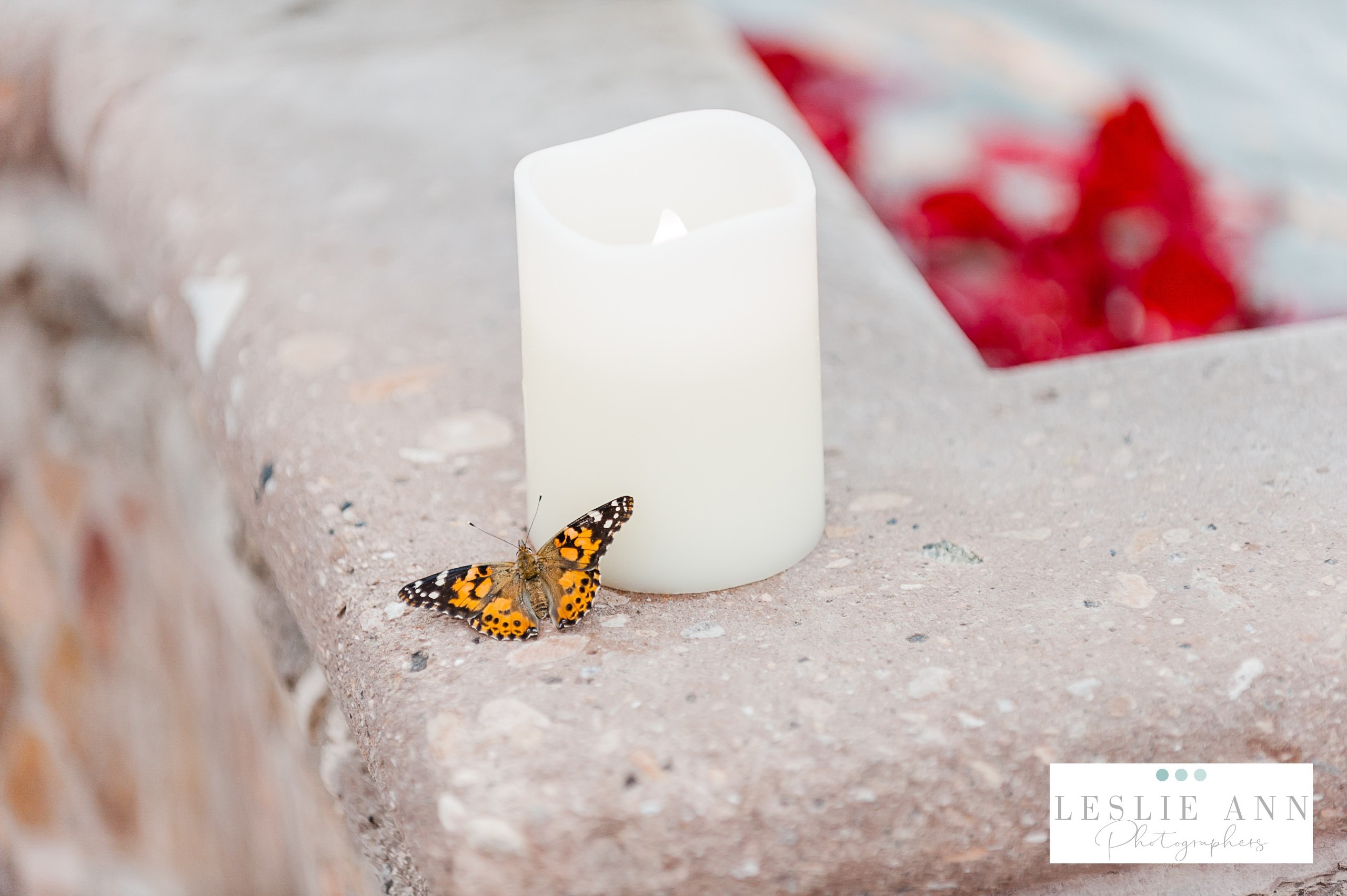 Butterfly release Honeyfund Blog by the free honeymoon