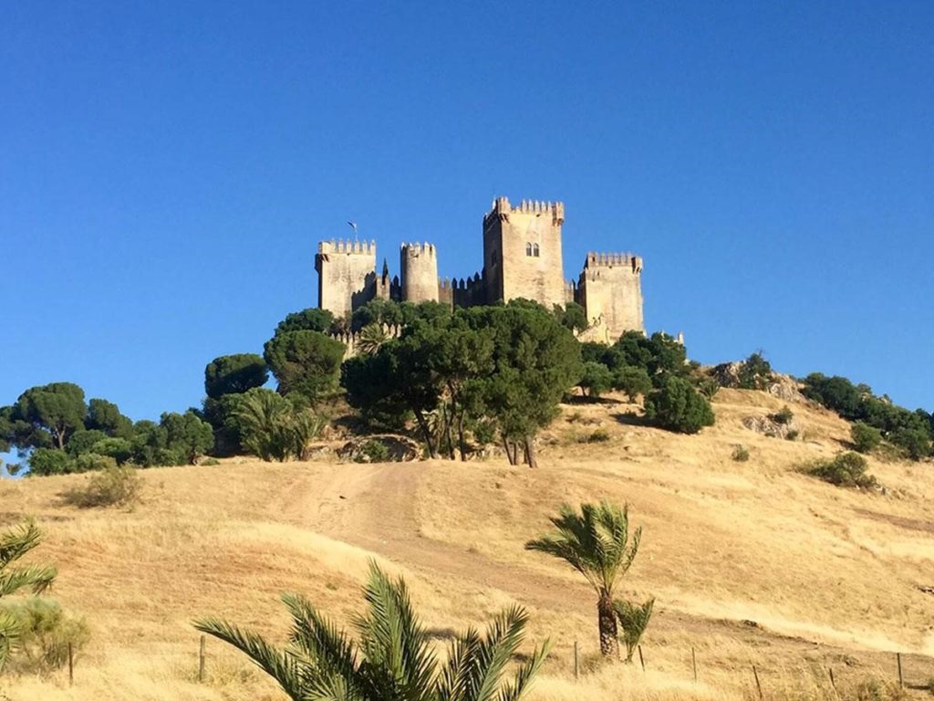 Road to Castillo de Almodóvar