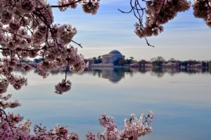 Tidal Basin, Washington, DC